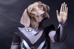 Hond in mensenkleren